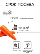 Семена на ленте Морковь «Сластёна», 8 м, «Аэлита» - Фото 2