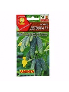 Семена огурца "Детвора", F1, 10 шт. 7643567 - фото 16241360