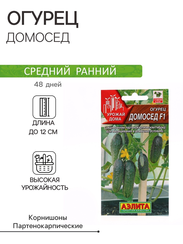Семена Огурец «Домосед», F1, 7 шт., «АЭЛИТА» - Фото 1