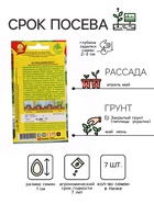Семена Огурец «Домосед», F1, 7 шт., «АЭЛИТА» - Фото 2