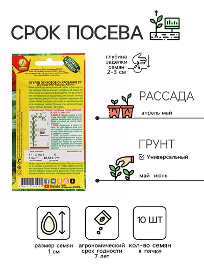 Семена Огурец "Пучковое очарование", F1, ц/п, 10 шт