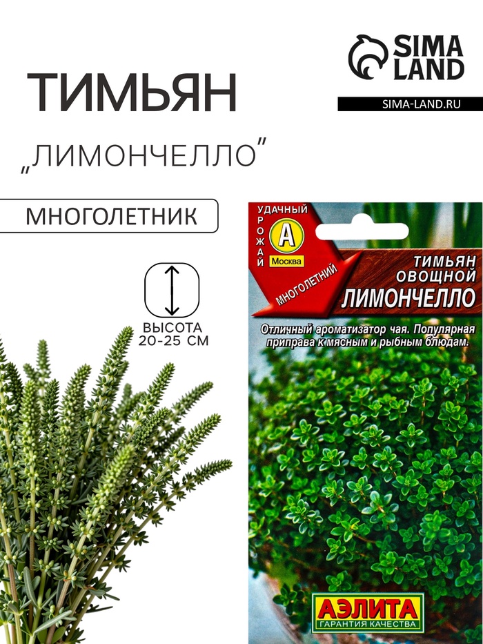 Семена Тимьян овощной «Лимончелло», 0.2 г, «АЭЛИТА» - Фото 1