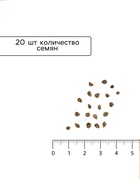 Семена Томат «Абруццо», индетерминантный, высокорослый, 20 шт., «АЭЛИТА»  (артикул 7643596)  большой выбор товаров оптом и в розницу по низким ценам с доставкой