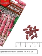 Семена Фасоль овощная «Фламинго», 5 г, «АЭЛИТА» - Фото 4