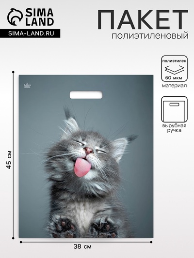 Пакет «Кот», полиэтиленовый, с вырубной ручкой, 38×45 см, 60 мкм