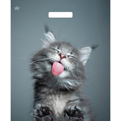 Пакет «Кот», полиэтиленовый, с вырубной ручкой, 38×45 см, 60 мкм