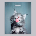 Пакет «Кот», полиэтиленовый, с вырубной ручкой, 38×45 см, 60 мкм - Фото 3