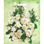 Пакет "Белые розы", полиэтиленовый, с вырубной ручкой, 38 х 45 см, 60 мкм - фото 296061700