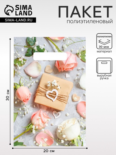 Пакет «Подарочек», полиэтиленовый, с вырубной ручкой, 20×30 см, 30 мкм