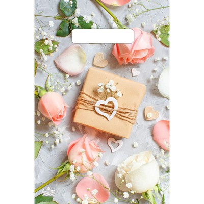 Пакет «Подарочек», полиэтиленовый, с вырубной ручкой, 20×30 см, 30 мкм