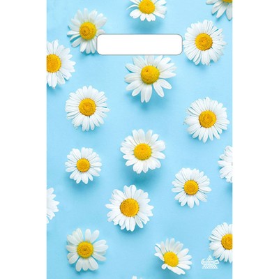 Пакет "Ромашковый дождик", полиэтиленовый, с вырубной ручкой, 20 х 30 см, 30 мкм
