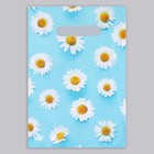 Пакет "Ромашковый дождик", полиэтиленовый, с вырубной ручкой, 20 х 30 см, 30 мкм - Фото 2