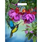 Пакет "Колибри в цветах", полиэтиленовый, с вырубной ручкой, 31 х 40 см, 60 мкм - Фото 1