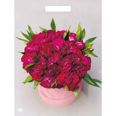 Пакет «Букет пионов», полиэтиленовый, с вырубной ручкой, 31×40 см, 60 мкм