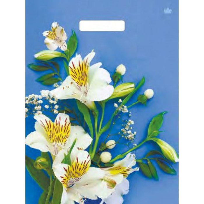 Пакет "Лилия белоснежная", полиэтиленовый, с вырубной ручкой, 31 х 40 см, 60 мкм - Фото 1