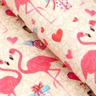 Бумага упаковочная крафтовая, «Розовый фламинго», 50×70 см 7508229