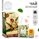 Чай зелёный «выпускной: Лучшему учителю», вкус: жасмин, 25 пакетиков х 1,8 г. - фото 295456806