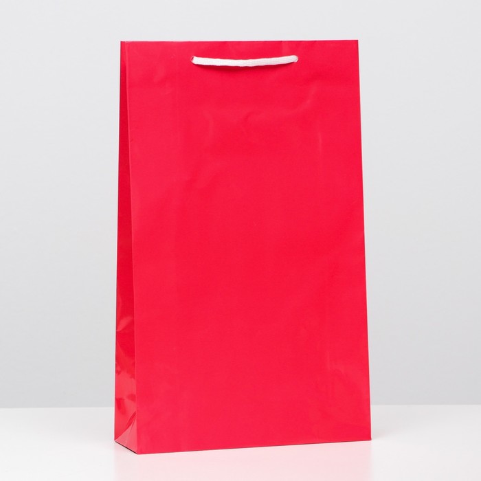 Пакет ламинированный, красный, 40,5 х 24,8 х 9 см, набор 12 шт.