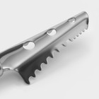 Рыбочистка Доляна Venus, 25 см, нержавеющая сталь, чёрная - Фото 5