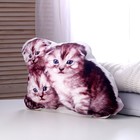 Мягкая игрушка-подушка «Котята» - Фото 2