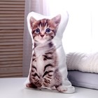 Мягкая игрушка-подушка «Котёнок» - Фото 2