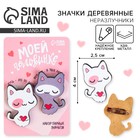 Значки деревянные, неразлучники «Моей половинке», 2 шт., 8 х 12 см. - Фото 1