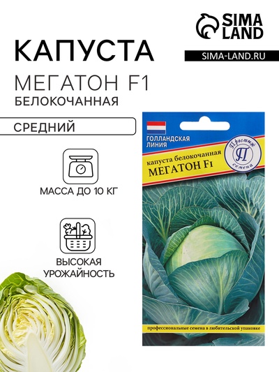 Семена Капуста белокочанная «Мегатон», F1, 10 шт., «Престиж семена»