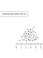 Семена капусты белокочанной Мегатон F1, 15 шт, - фото 809633784