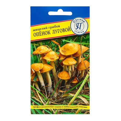 Семена Мицелий Опенок "Луговой", 12 пал