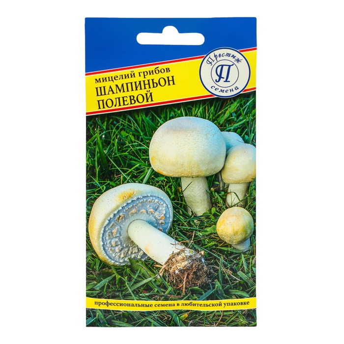 Семена Мицелий "Шампиньон Полевой", 60 мл - Фото 1