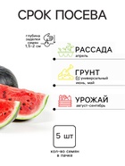 Семена Арбуз «Шуга Деликата», F1, 5 шт., «Престиж семена» - Фото 2