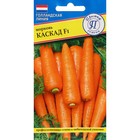 Семена Морковь "Каскад", F1, 0,5 гр - фото 318762122