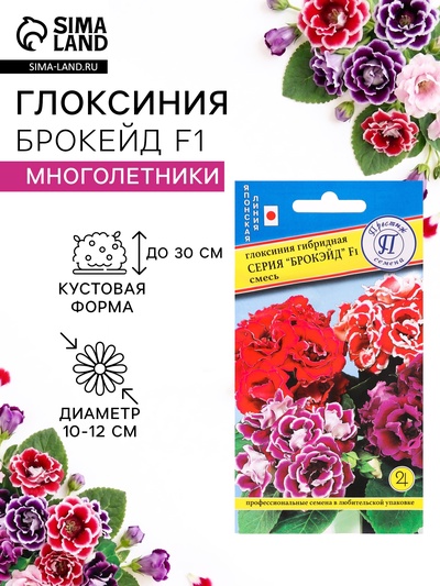 Семена цветов Глоксиния "Брокэйд", F1, 5 шт.