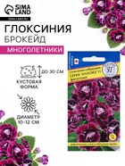 Семена цветов Глоксиния «Брокэйд», фиолетовая, F1, 5 шт., «Престиж семена» - Фото 1