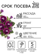 Семена цветов Глоксиния «Брокэйд», фиолетовая, F1, 5 шт., «Престиж семена» - Фото 2
