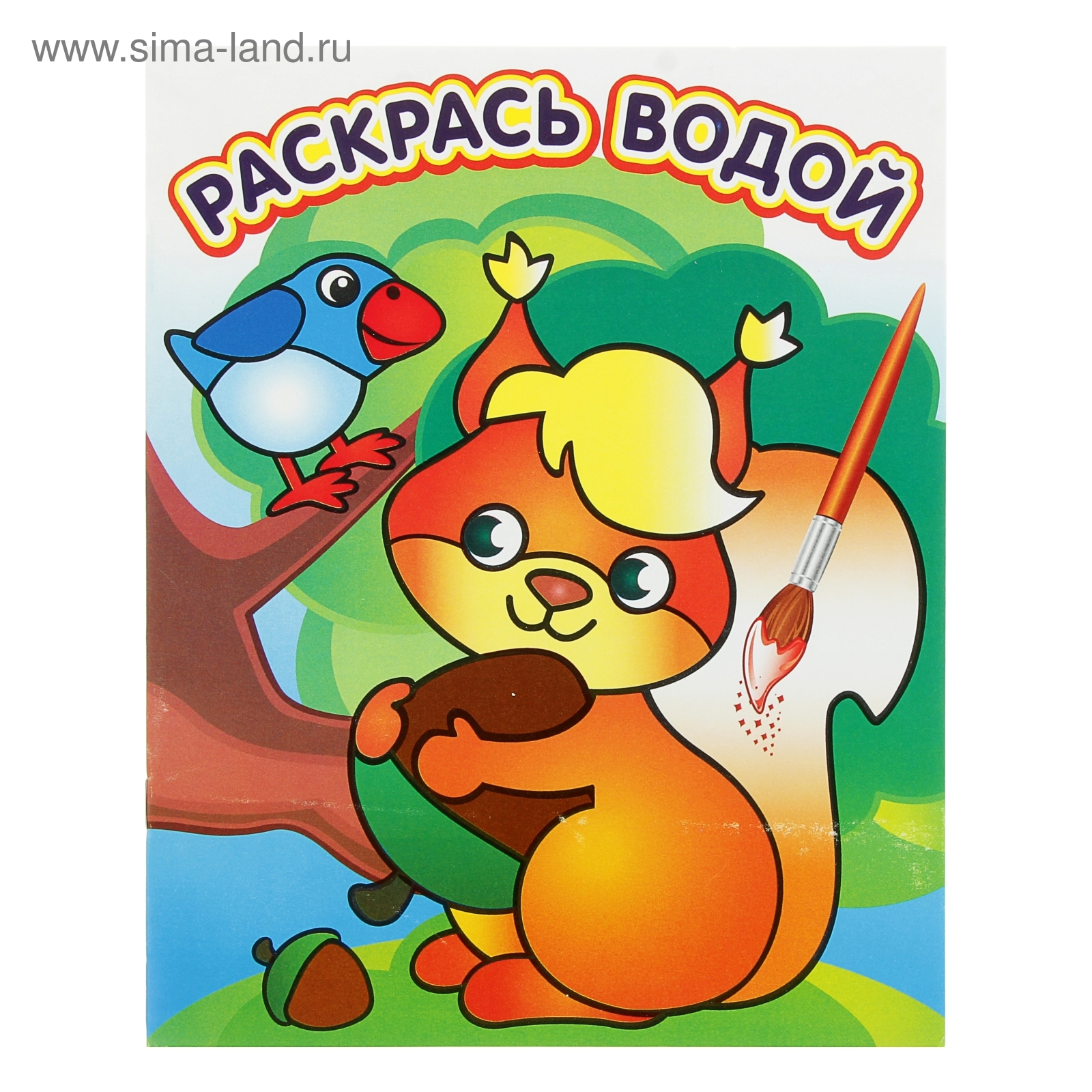 Водная раскраска «Белочка с орешком» (850531) - Купить по цене от 58.00 ...