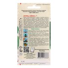 Семена огурца "Аленка", F1, 0,25 г - Фото 2