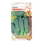 Семена Огурец "Иваныч", F1, 0,25 г. - Фото 3