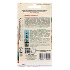 Семена Огурец "Настя", F1, 10 шт. - Фото 2