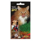 Семена Трава «Друг для животных», 8 г, «АЭЛИТА экстра» - Фото 1