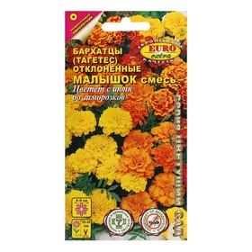 Семена цветов Бархатцы отклоненные "Малышок", смесь,  0,3 г
