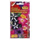 Семена цветов Петуния «Гигантские огни», F2, смесь крупноцветковая, 0.003 г - Фото 1