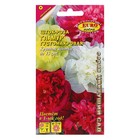 Семена Цветов Шток-роза «Гламур», махровая, смесь, 0.1 г, «АЭЛИТА экстра» - Фото 1