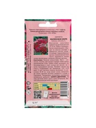 Семена цветов Обриета "Малиновое море", 0,05 г 7652513 - фото 16831511
