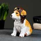 Фигурка полистоун «Щенок-авиатор», 14×10×16 см - Фото 4