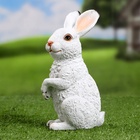 Садовая фигура из полистоуна «Зайка», 21×9×12 см - Фото 6