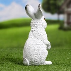 Садовая фигура из полистоуна «Зайка», 21×9×12 см - Фото 7