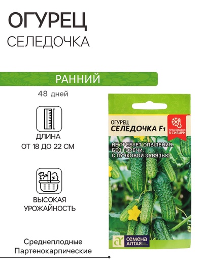Семена Огурец "Селедочка", F1, Сем. Алт, ц/п, 5 шт