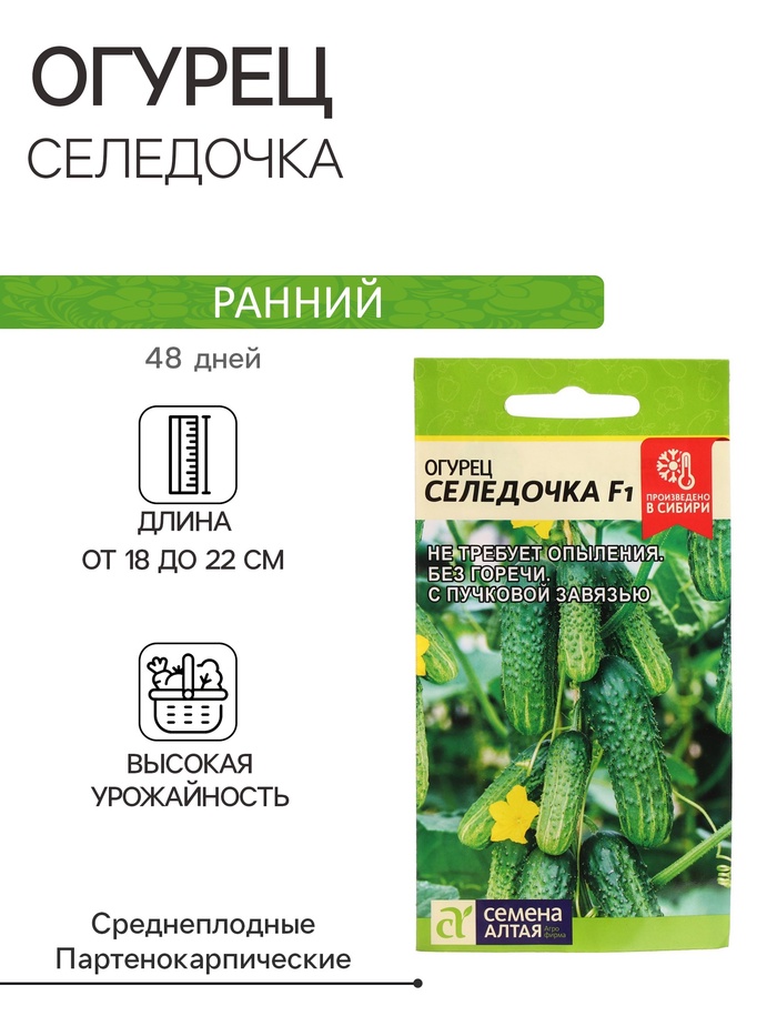 Семена Огурец "Селедочка", F1, Сем. Алт, ц/п, 5 шт - Фото 1