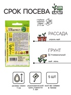 Семена Огурец "Селедочка", F1, Сем. Алт, ц/п, 5 шт - Фото 2